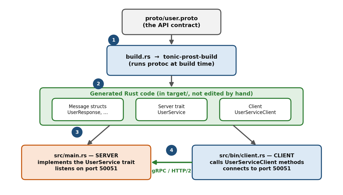 Pipeline diagram: proto/user.proto goes into build.rs and tonic-prost-build, which runs protoc and generates Rust message structs, the UserService server trait, and UserServiceClient. The server in src/main.rs implements the trait and the client in src/bin/client.rs calls it over gRPC on port 50051.